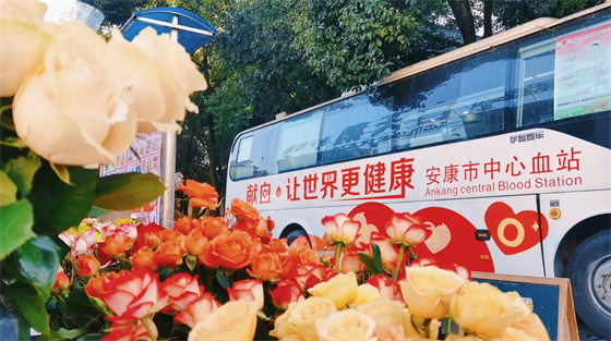 安康這三兄妹，熱血！