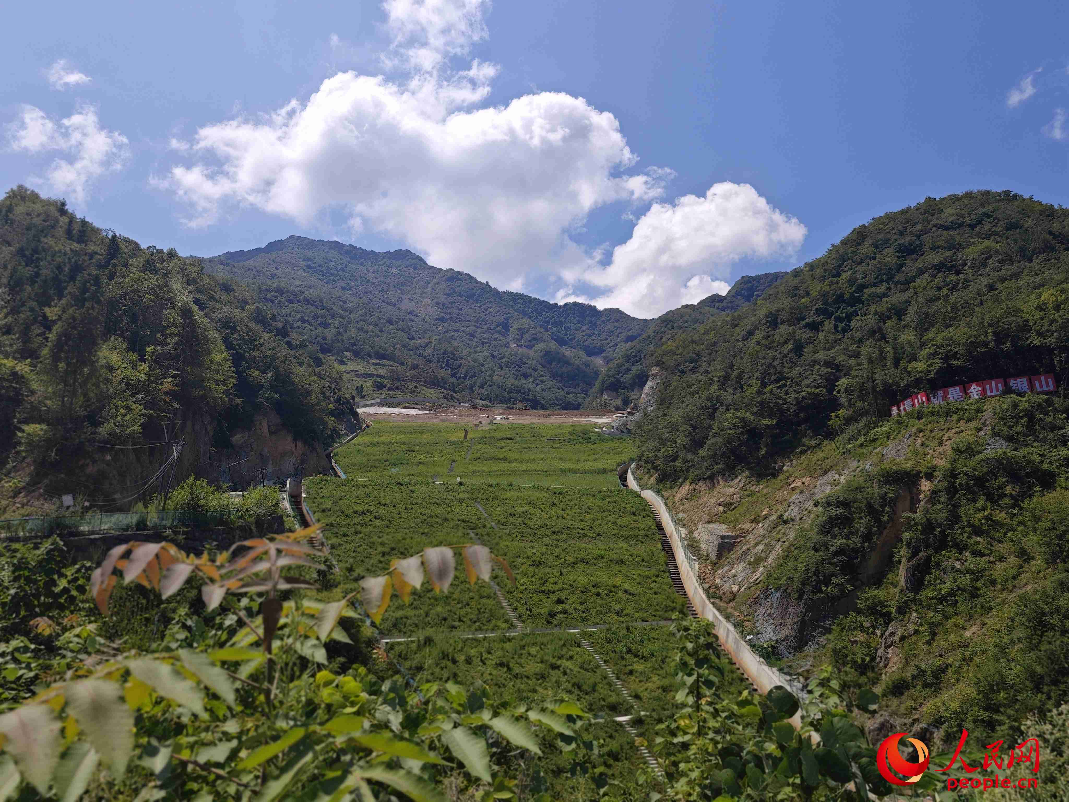 已部分復(fù)綠的貯存場。人民網(wǎng)記者 黃鈺攝