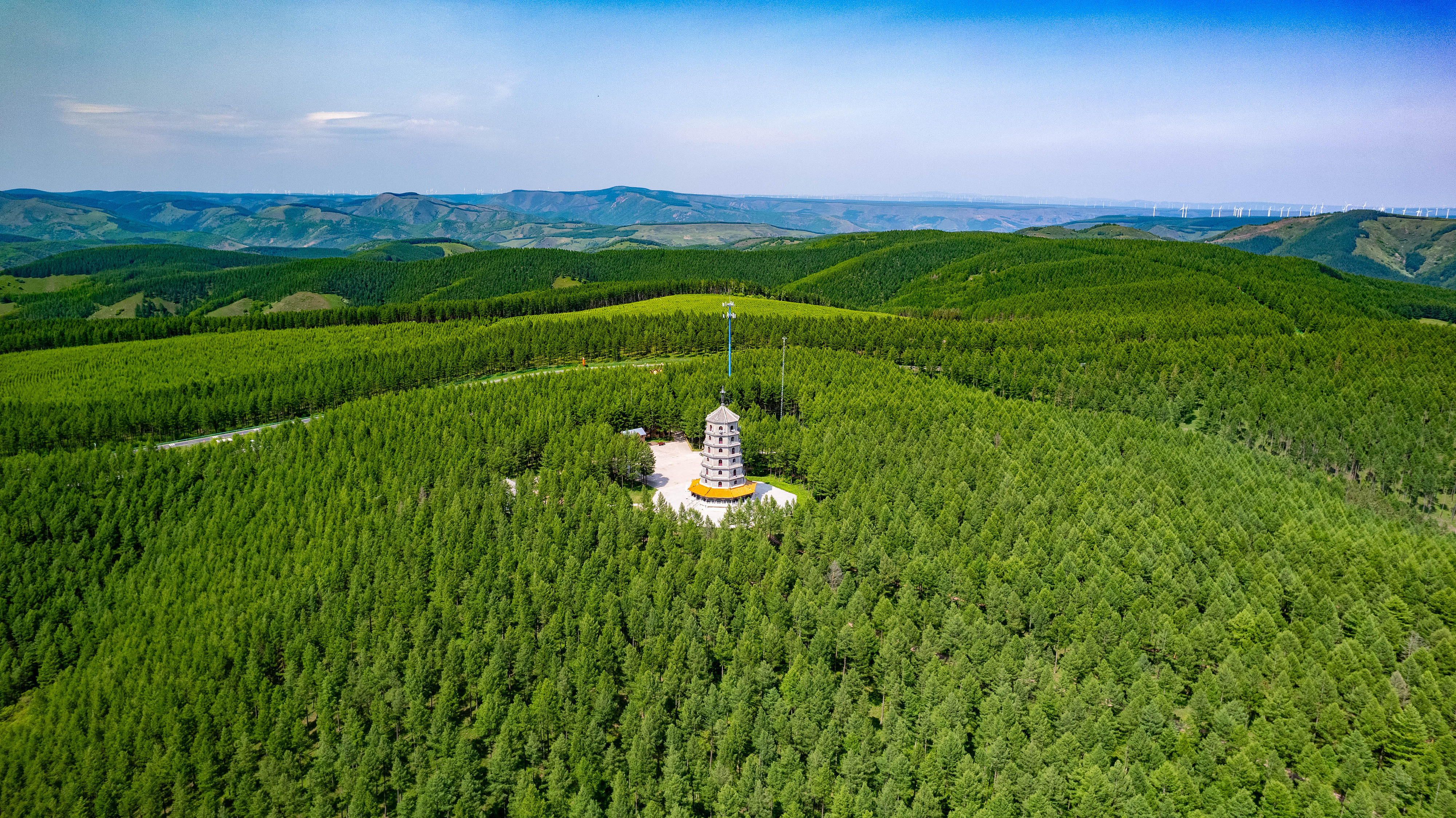 2025年6月11日，河北承德，塞罕壩林海浩渺。